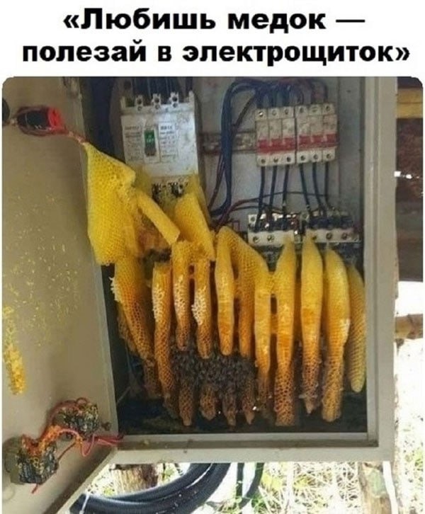 Еще только вторник …
