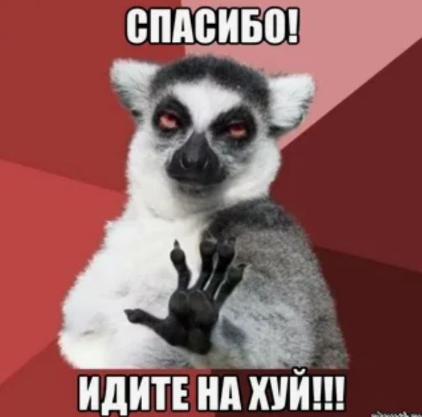 У Команды Ларисы ничего не треснет?