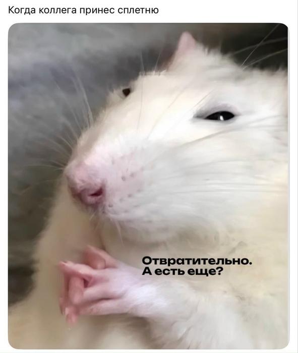 Картинки для деградации 130 (разной степени свежести)