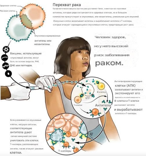 Самое вакцинированное место на Земле…