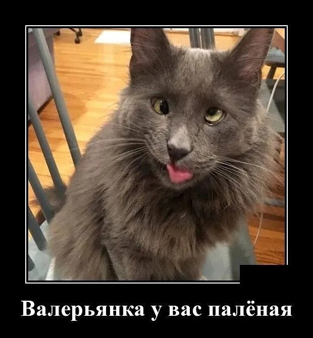 Вторника картинки