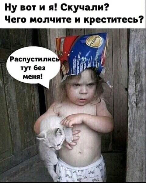 Картинки для деградации 242 (разной степени свежести)