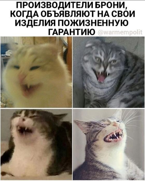Картинки для деградации 270 (разной степени свежести)
