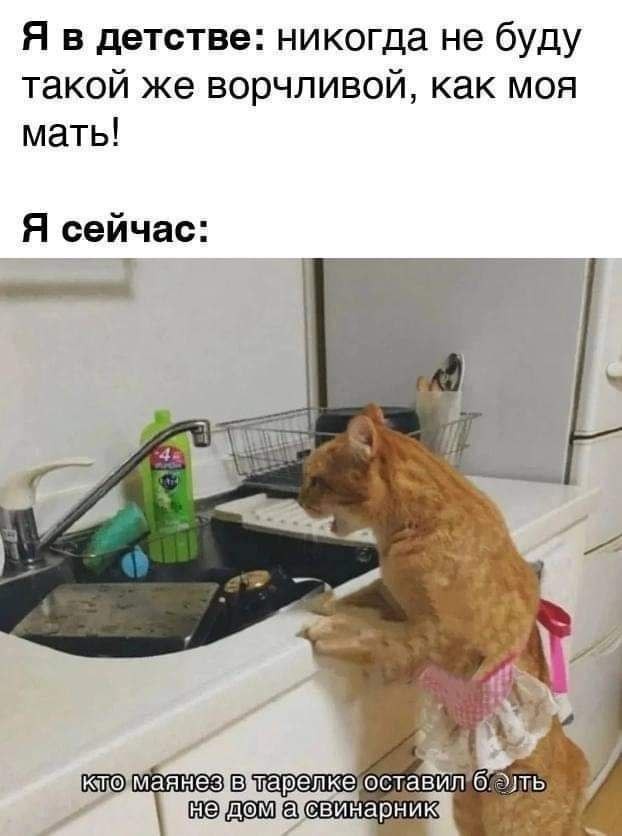 Картинки для деградации 272 (разной степени свежести)