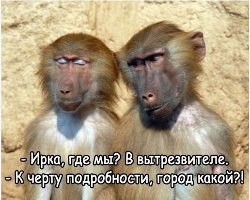 До прихода жены с работы осталось..