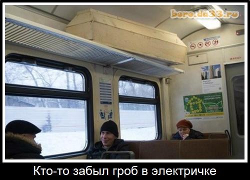 Потная гамсахурдия №8 (Картинки)