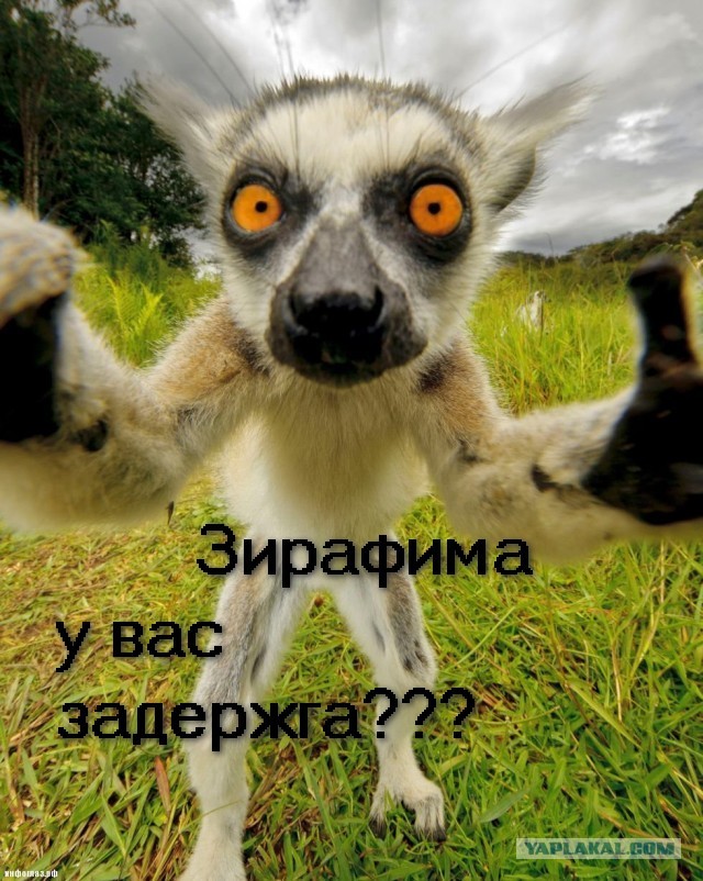Ты кто?!