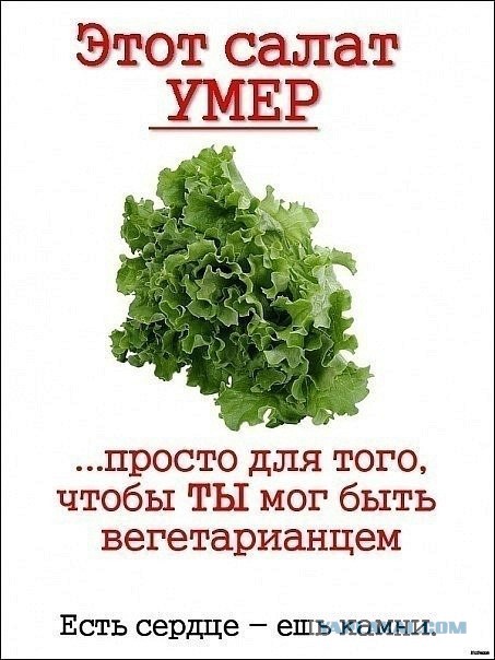 ООН может признать мясоедение преступлением.