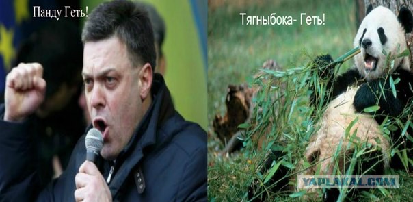 Как выглядит сейчас центр Киева
