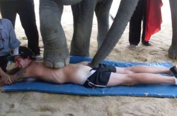 Подборка забавных и курьезных фотографий