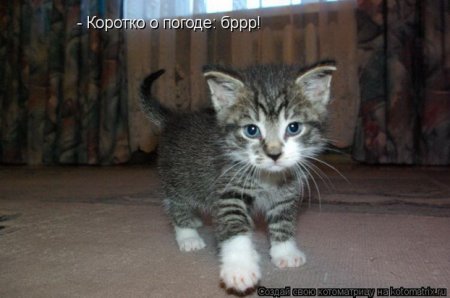 Подборка прикольных фото.