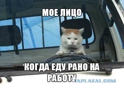 Позитивные картинки