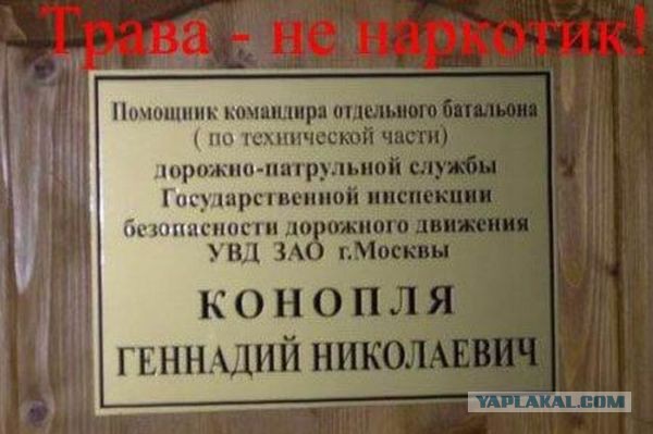 Люди на своём месте