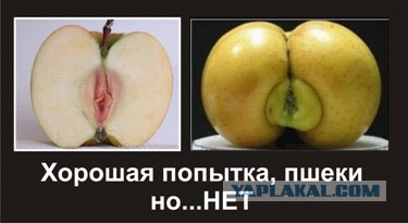 Поляки решили есть яблоки назло России