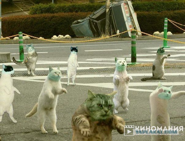 Знакомая выложила фотку...