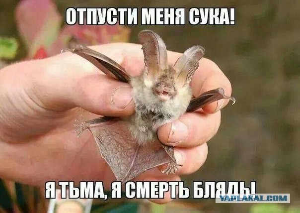 Да не трогай ты меня! И так страшно...