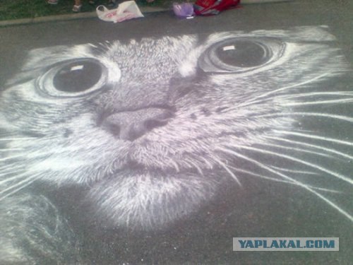 Рисунок мелом на асфальте