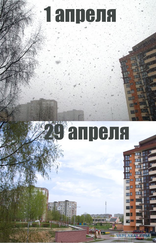 Апрель 2012