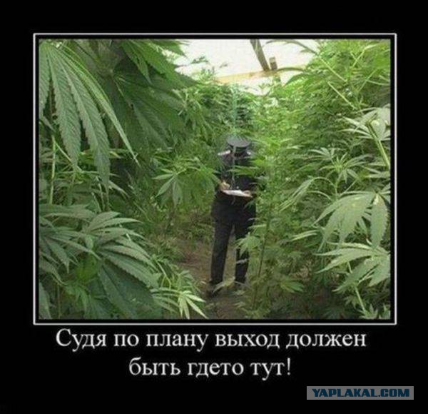 Пятничная подборка