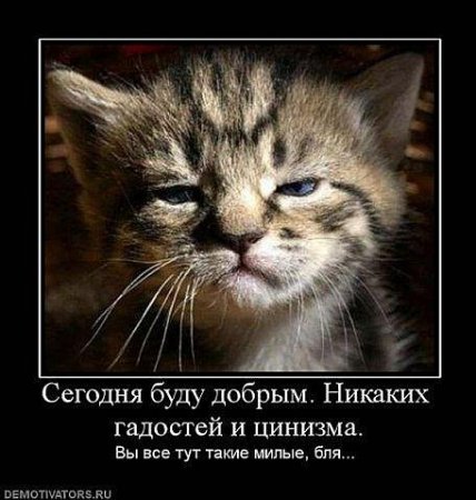 Забавные картинки из Сети