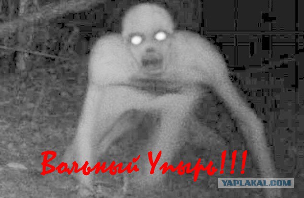 Как бы вас звали у индейцев