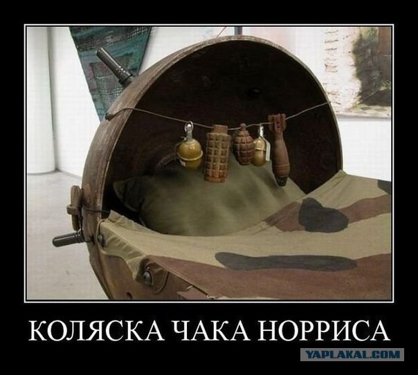 Знаменитости из “Неудержимых” тогда и сейчас