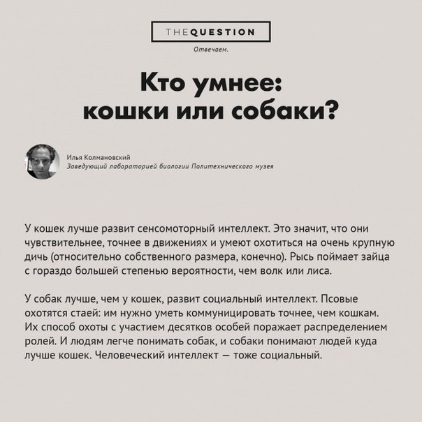 Неожиданные и странные вопросы