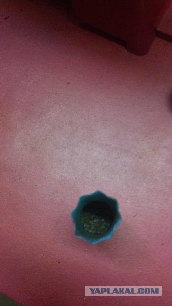 Сендвич по челябински