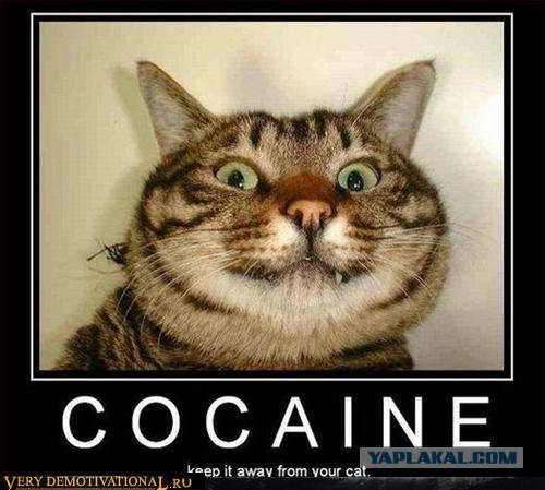 Итак, ваша буква?