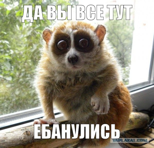 Плюшкиным посвящается