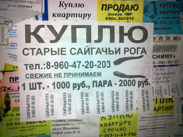 Веселые картинки