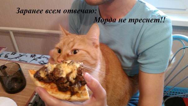 Прикольные картинки