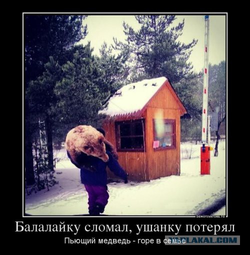 Картинки, надписи