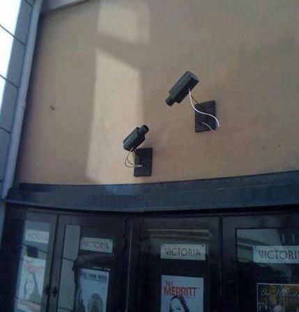 Забавные картинки из Сети