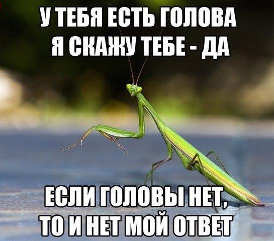 Подборка прикольных картинок