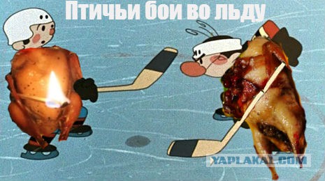 Финал конкурса "Кулинар ЯПа - 2015"