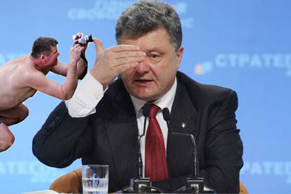 Жаба: Фотолюбитель
