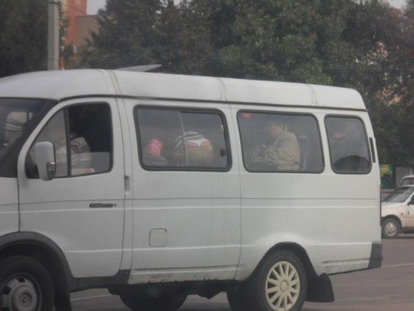 Подборка прикольных картинок