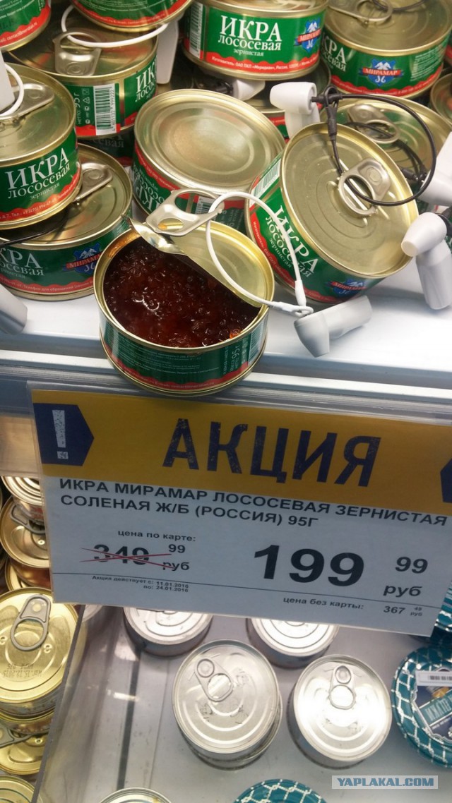 Хочешь икру?