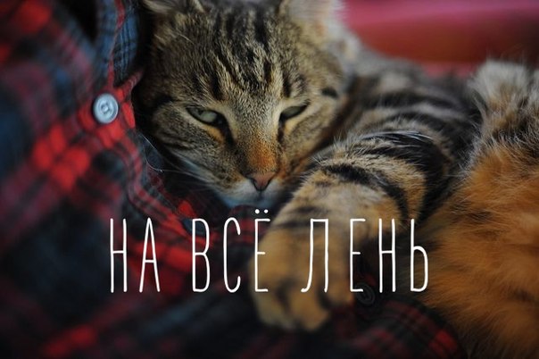 Подборка картинок из сети