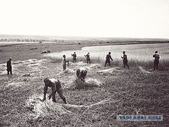 Фотографии с войны