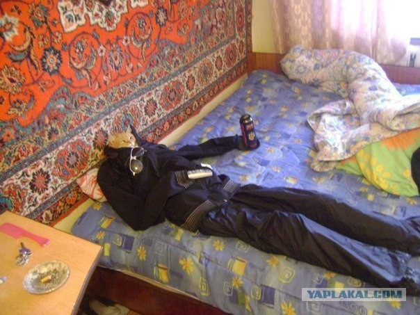 Ужасы и приколы из соцсетей 18+