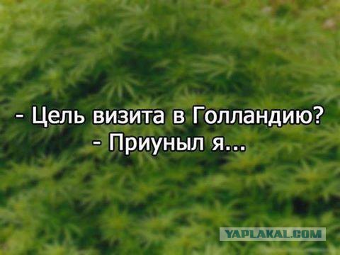 Смешные комментарии 27.03.2016
