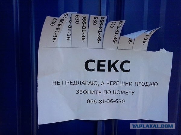 Подборка картинок