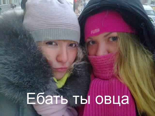 Юмор не для всех