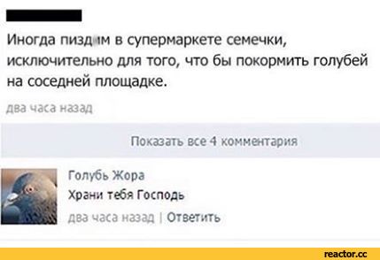 В петербургской гимназии нашли порноактрису