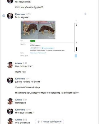 Живодерки из Хабаровска
