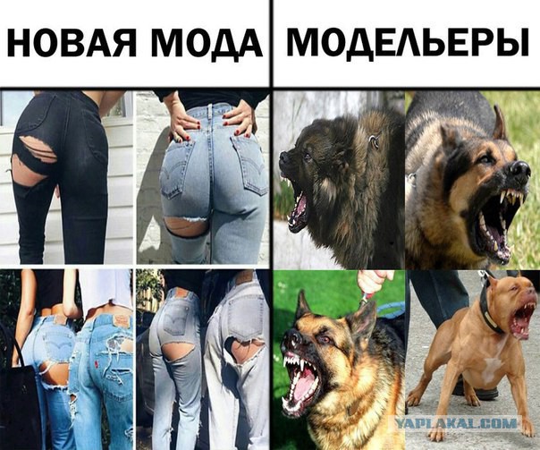 Смешные картинки с надписями 2