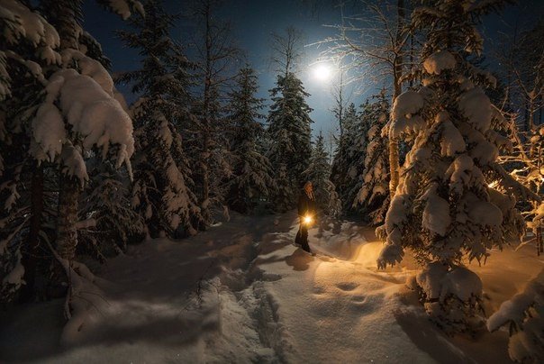 Моменты, запечатлённые на фото и просто позитив 5