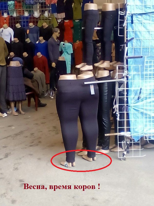 Подборка фотографий.